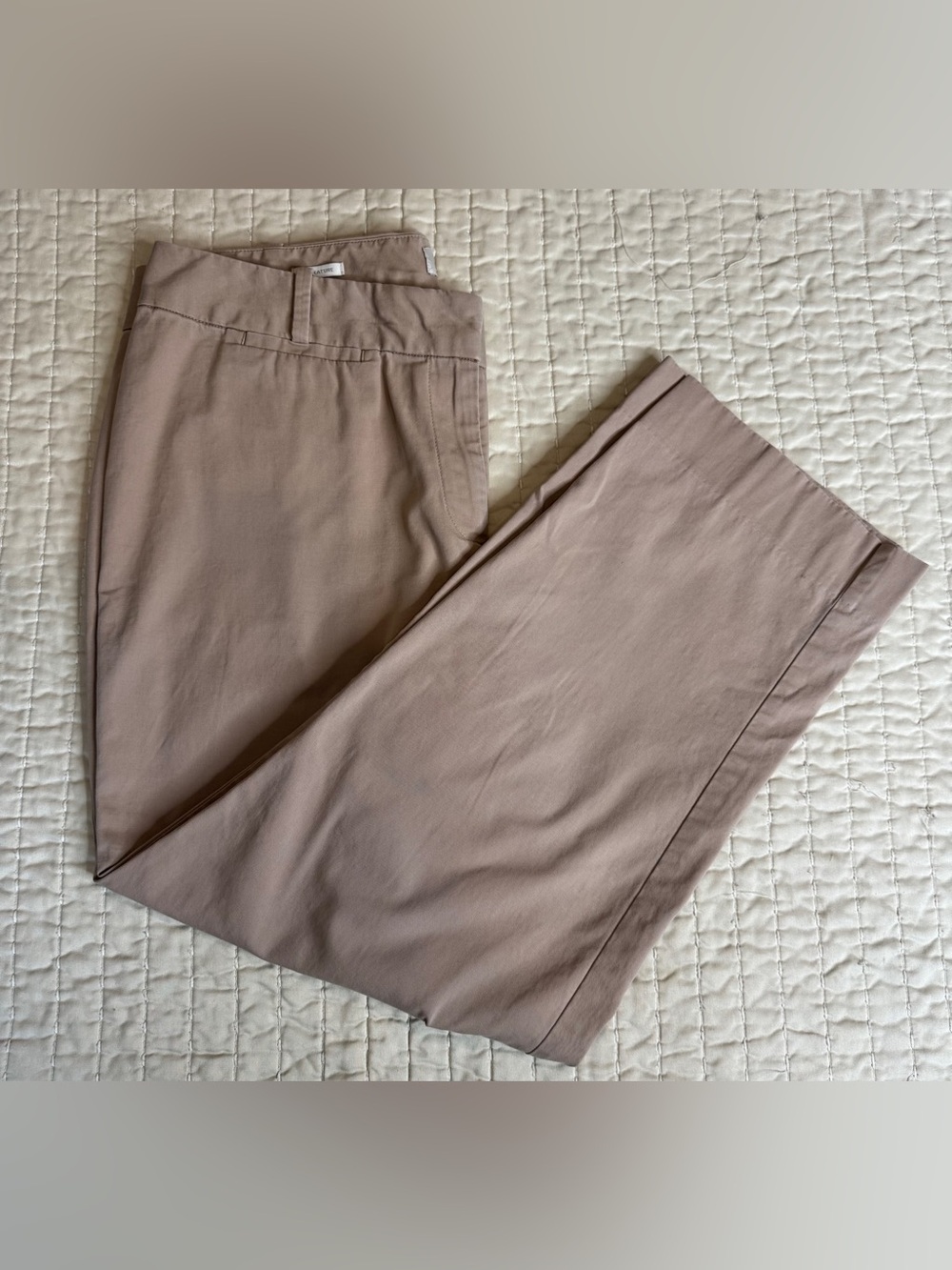 Talbots Signature Taupe Trousers Minimalist Quiet Luxury Workwear Chic Size 10